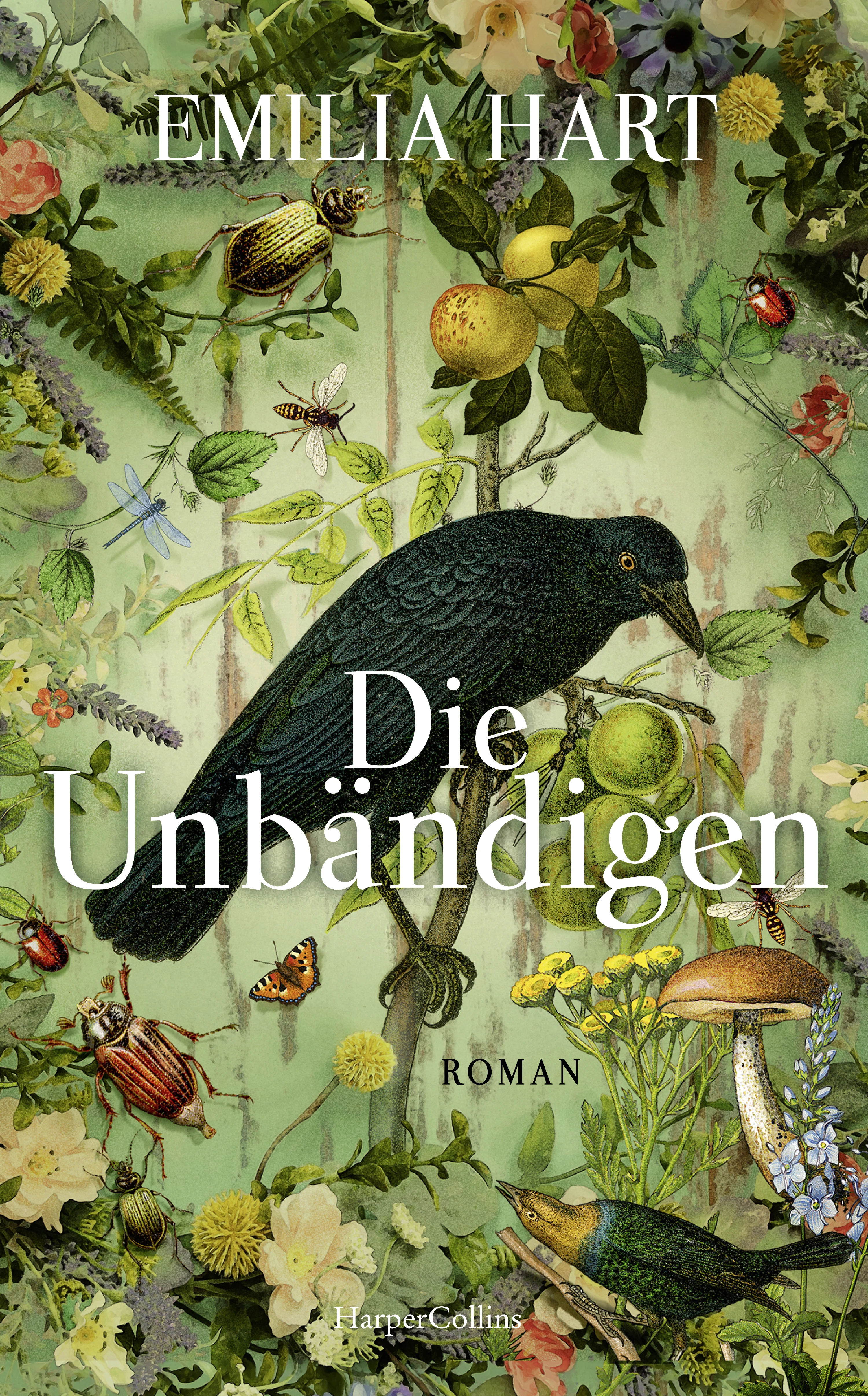 Vorschaubild 2