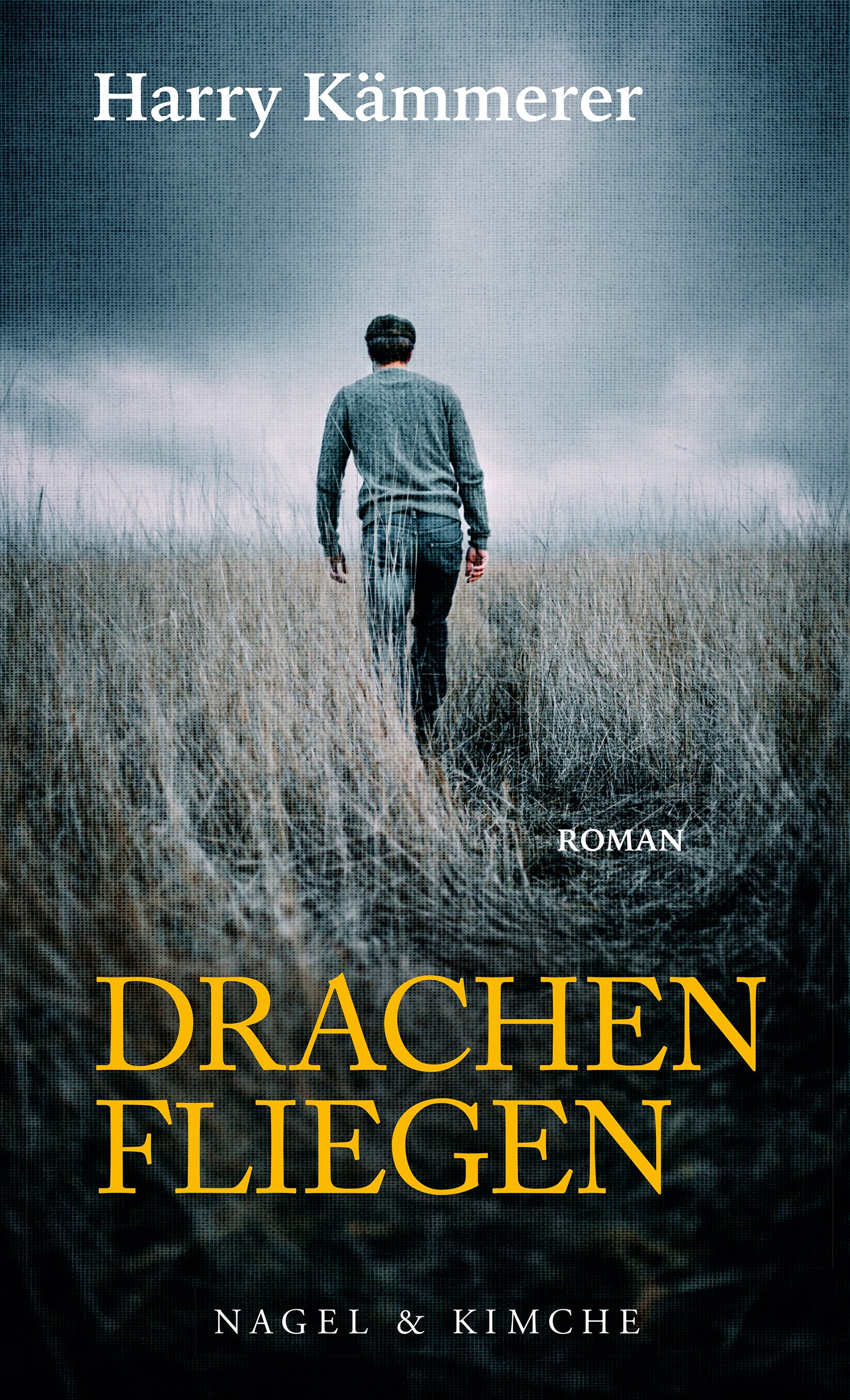 Drachenfliegen - Image 2