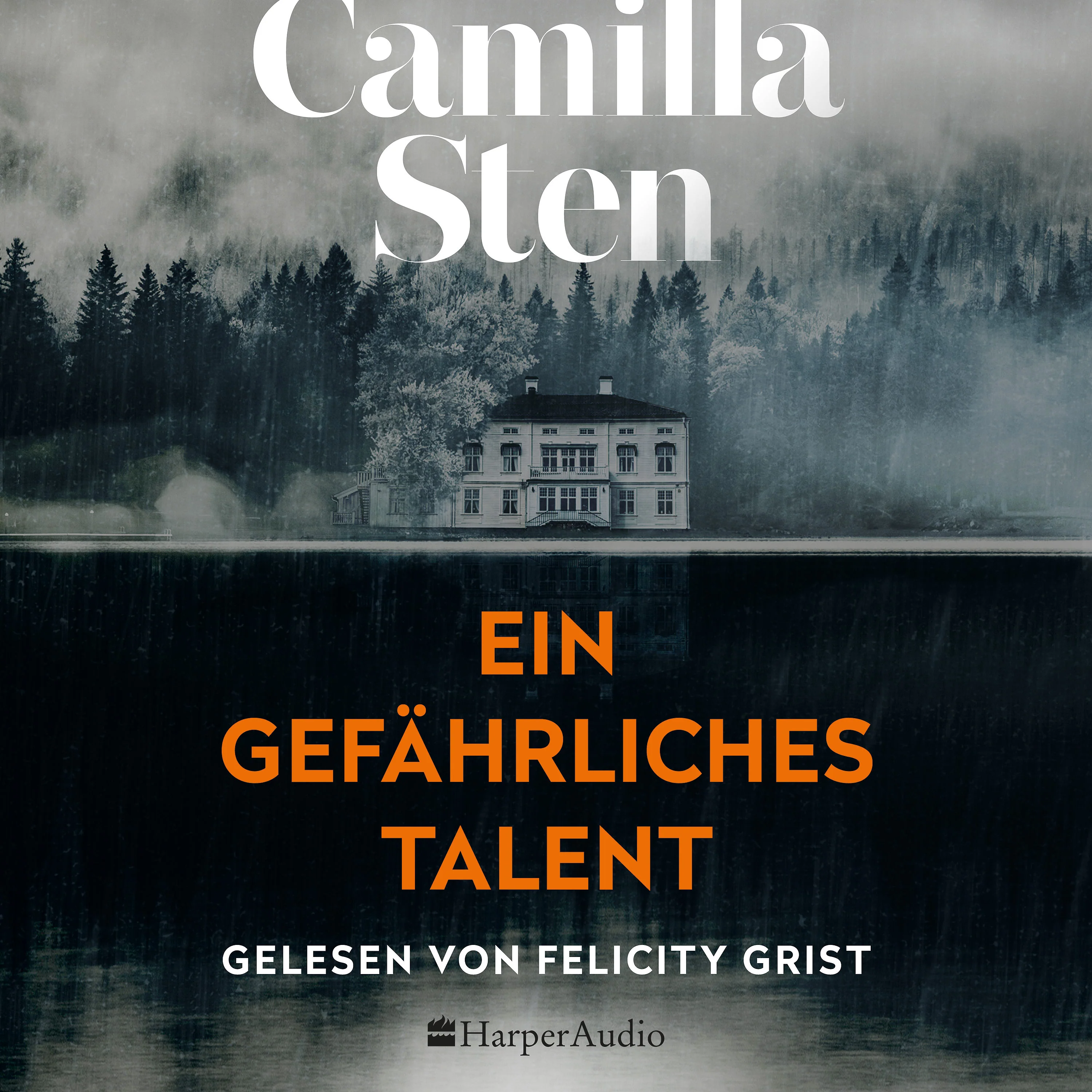 Ein gefährliches Talent - Image 3