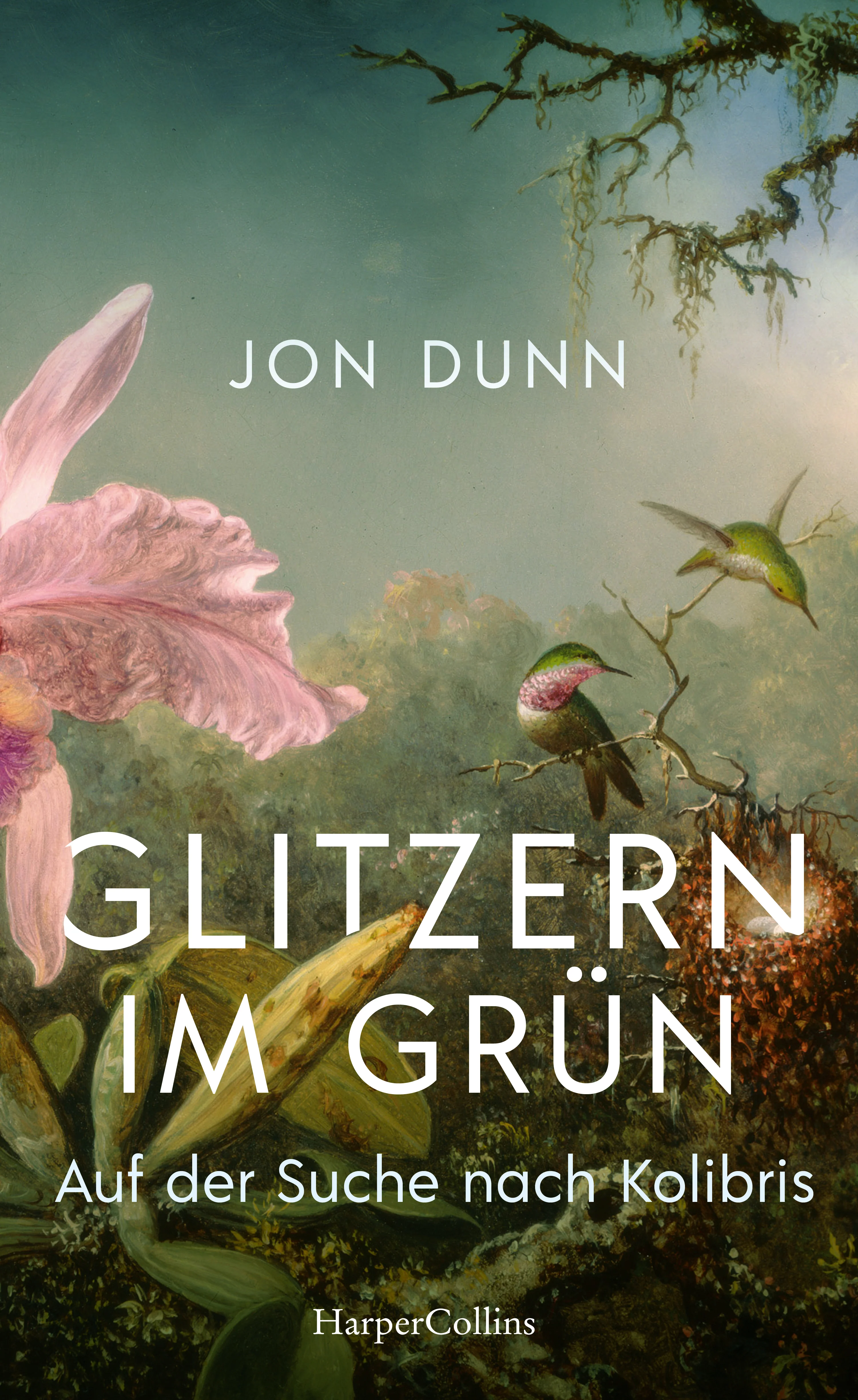 Glitzern im Grün – Auf der Suche nach Kolibris - Image 6