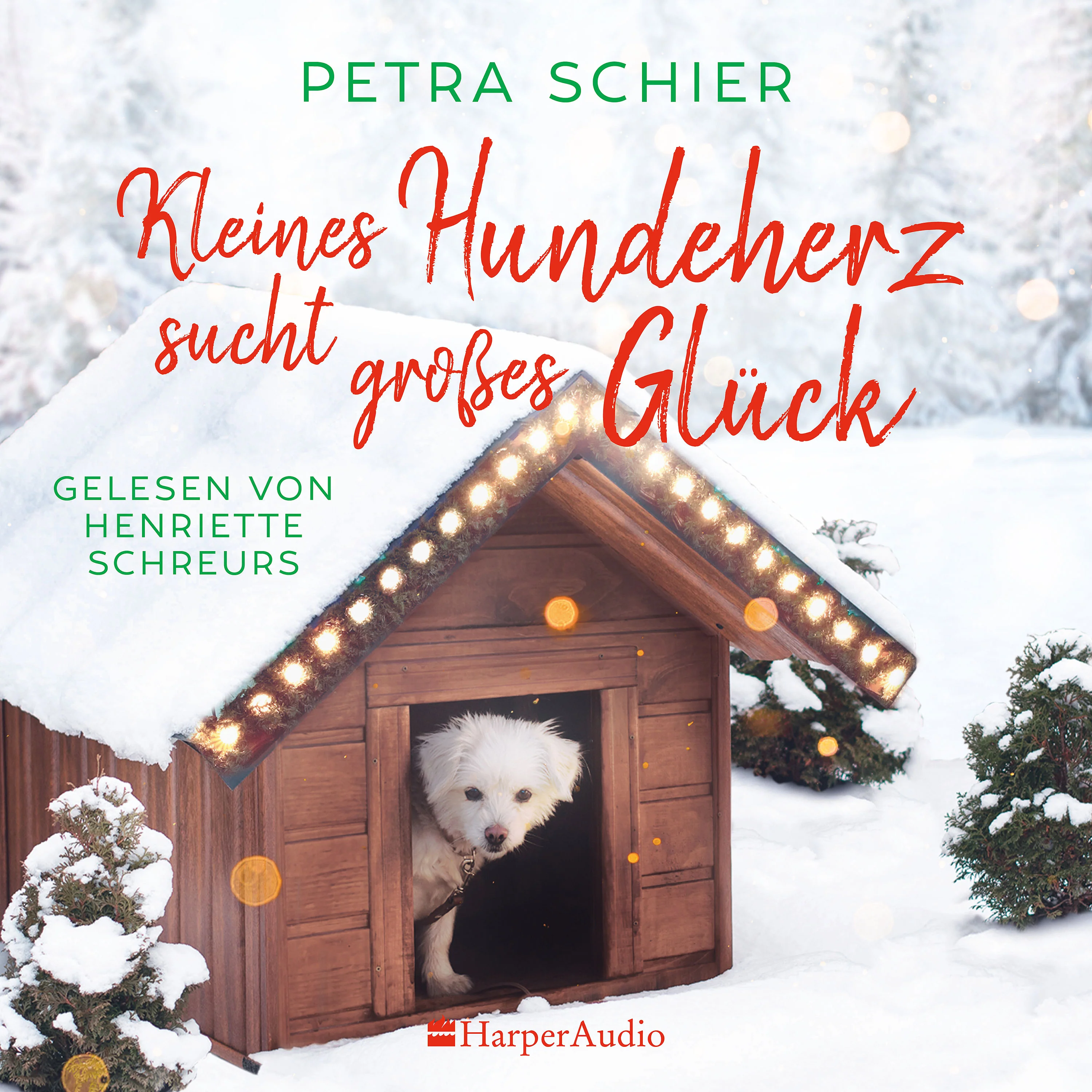 Kleines Hundeherz sucht großes Glück - Image 15