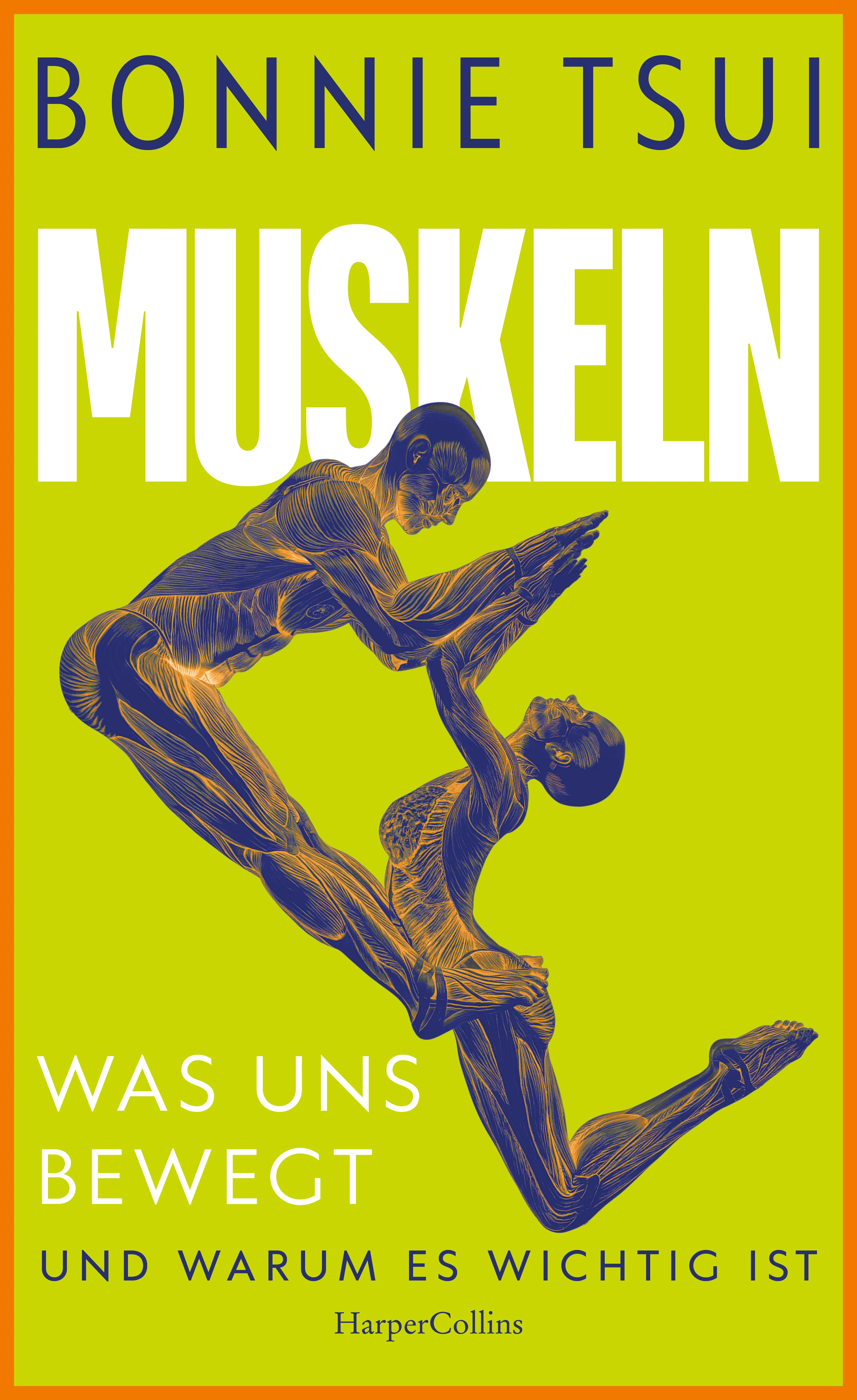 Muskeln. Was uns bewegt – und warum es wichtig ist - Image 2