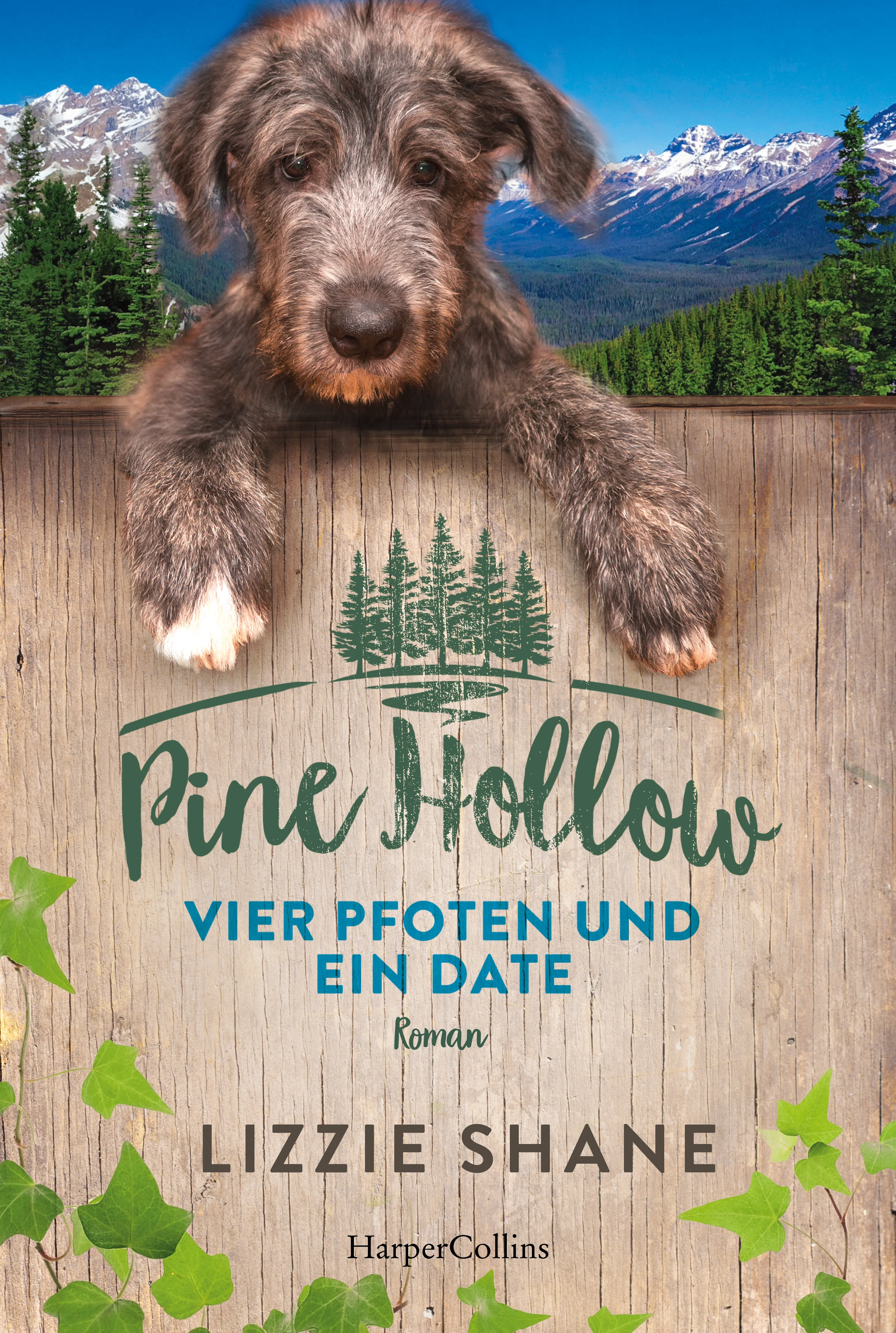 Vorschaubild 2