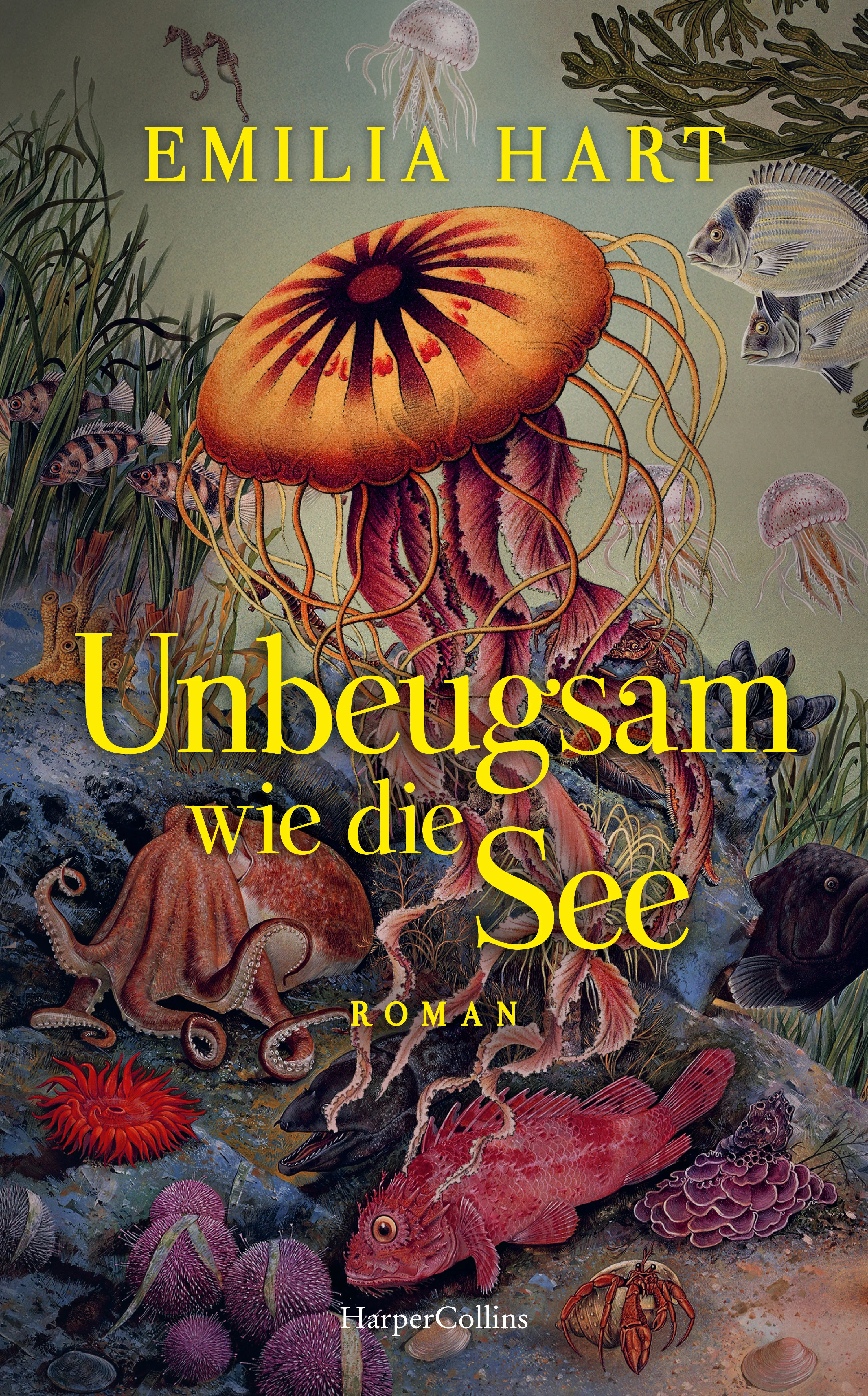 Vorschaubild 1