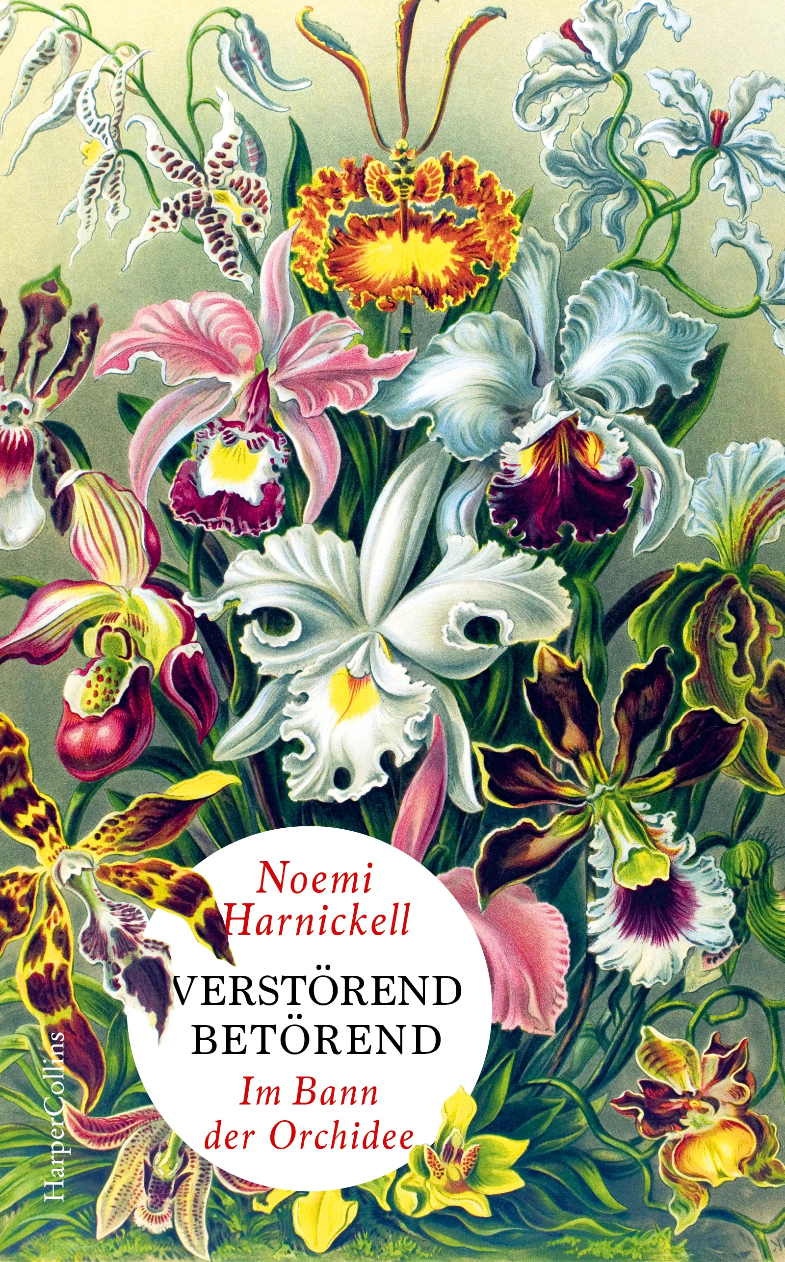 Verstörend betörend – Im Bann der Orchidee - Image 4