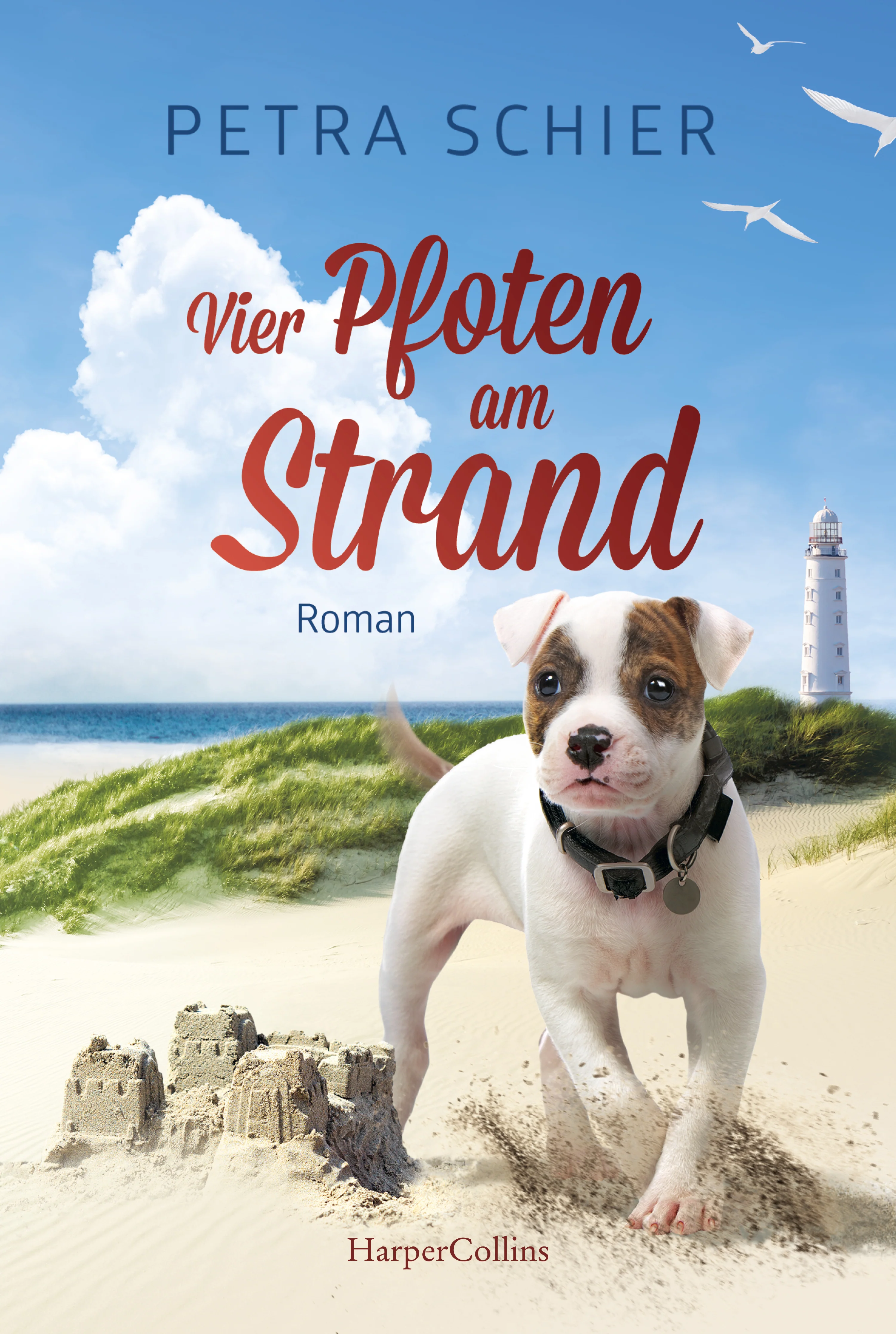 Vier Pfoten am Strand - Image 11