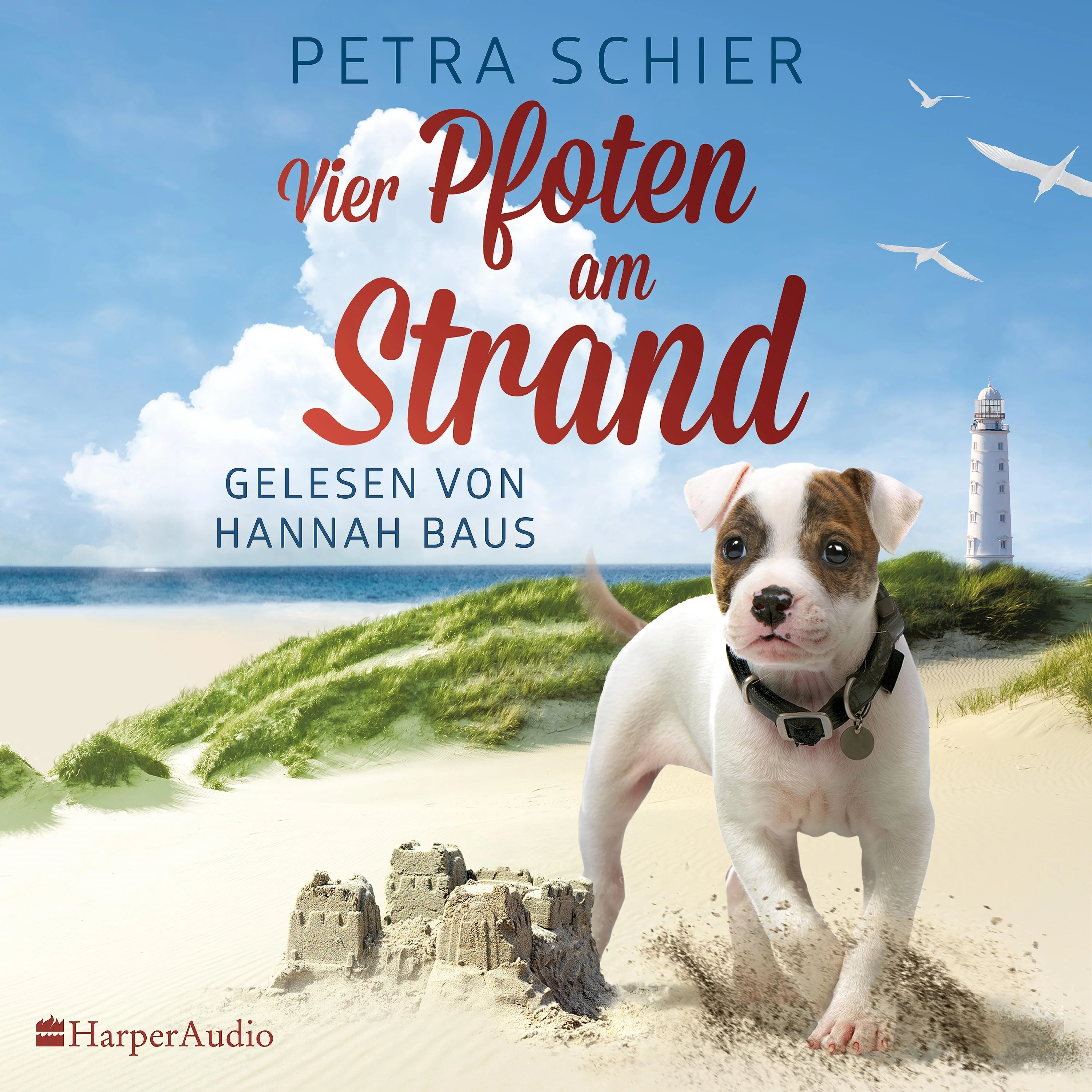 Vier Pfoten am Strand - Image 13
