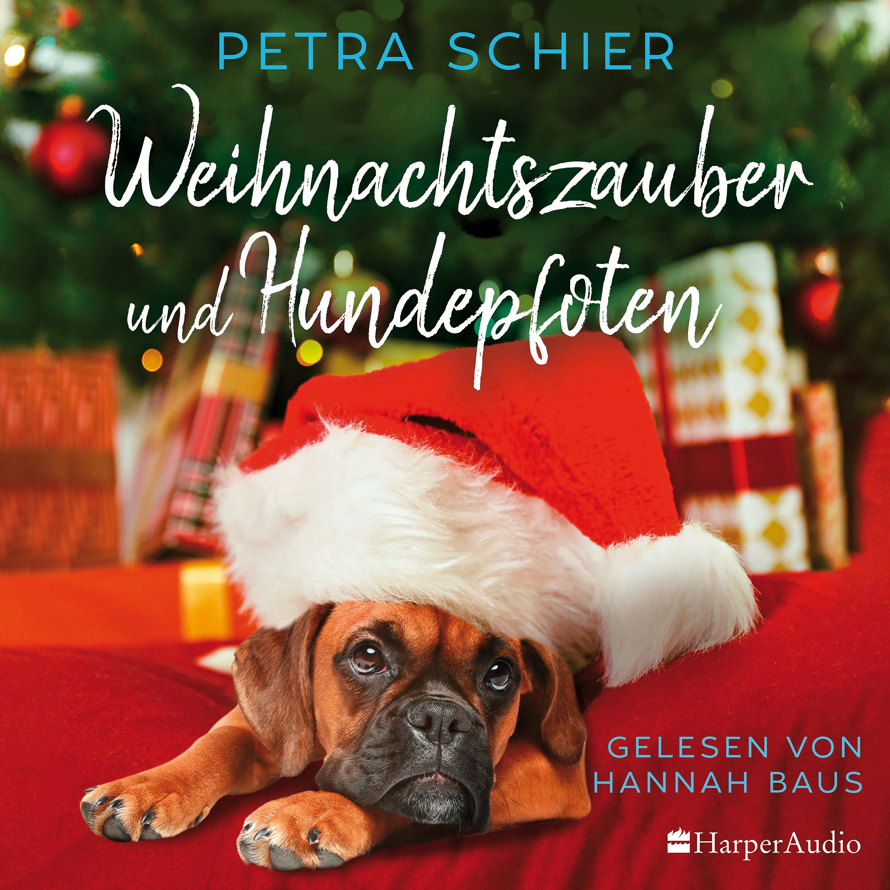 Weihnachtszauber und Hundepfoten - Image 3